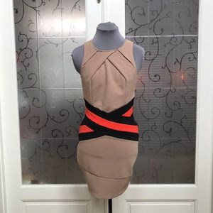 💯🆕NWT- ARDEN B-  High Contrast Body-Con Dress